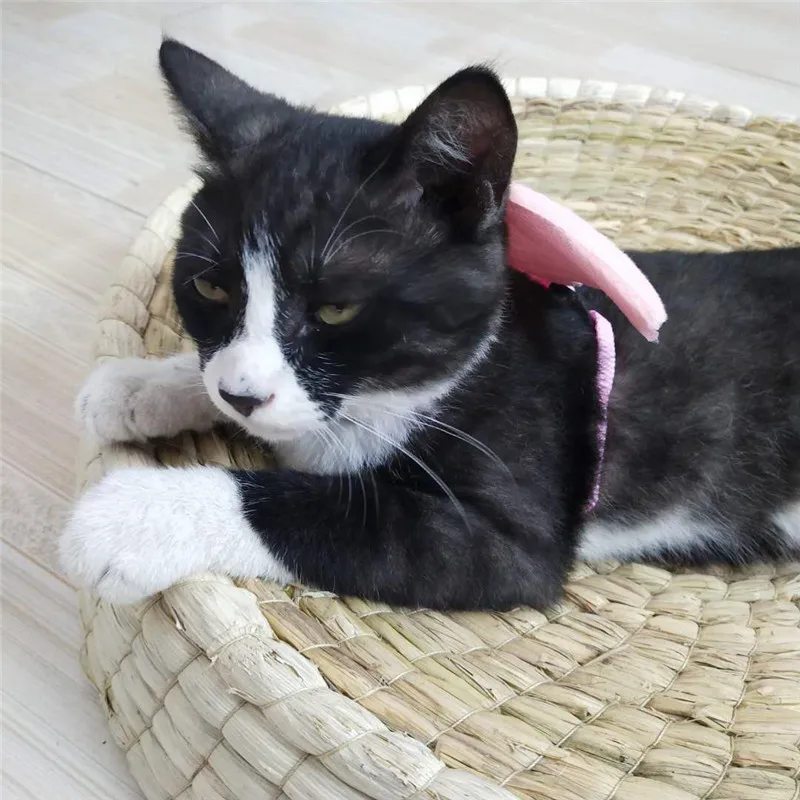 Pet Traction Rope Angel Wings Rabbit Walking Rope Cat Traction Belt Retractable Adjustable Length Chest Harness