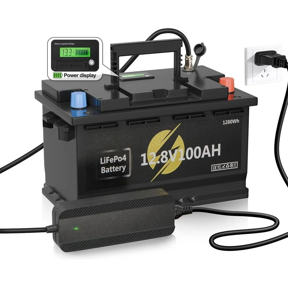 12V 100Ah LiFePO4 Battery, Lithium Battery with Built-in 100A BMS Features NTC and Low-Temperature Protection, Customized