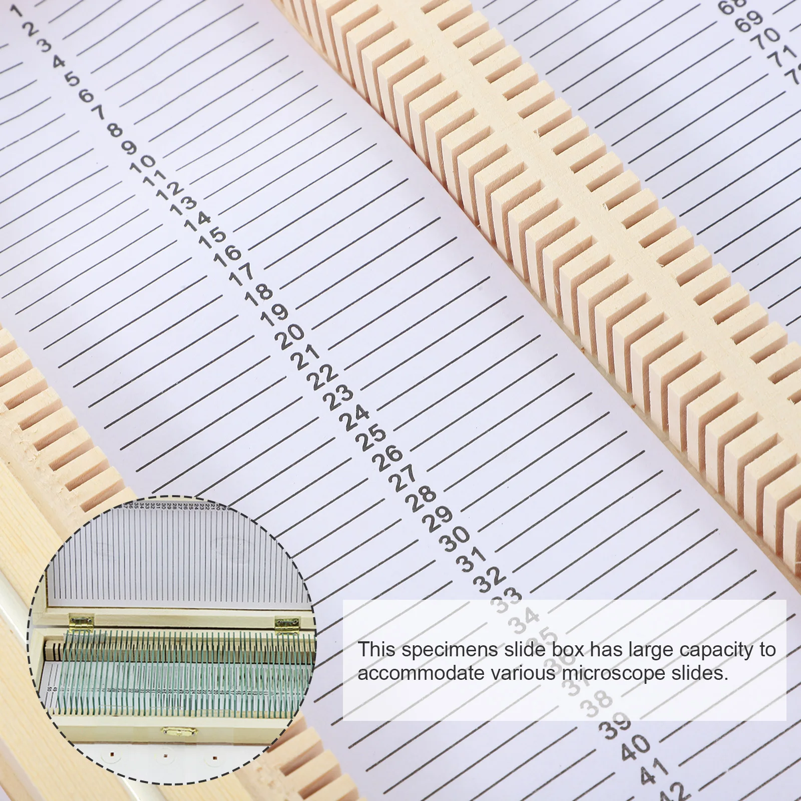 

Wooden Slide Storage Box Large Capacity Natural Wood Holder for Microscope Slides Biology Slide Storage Organizer