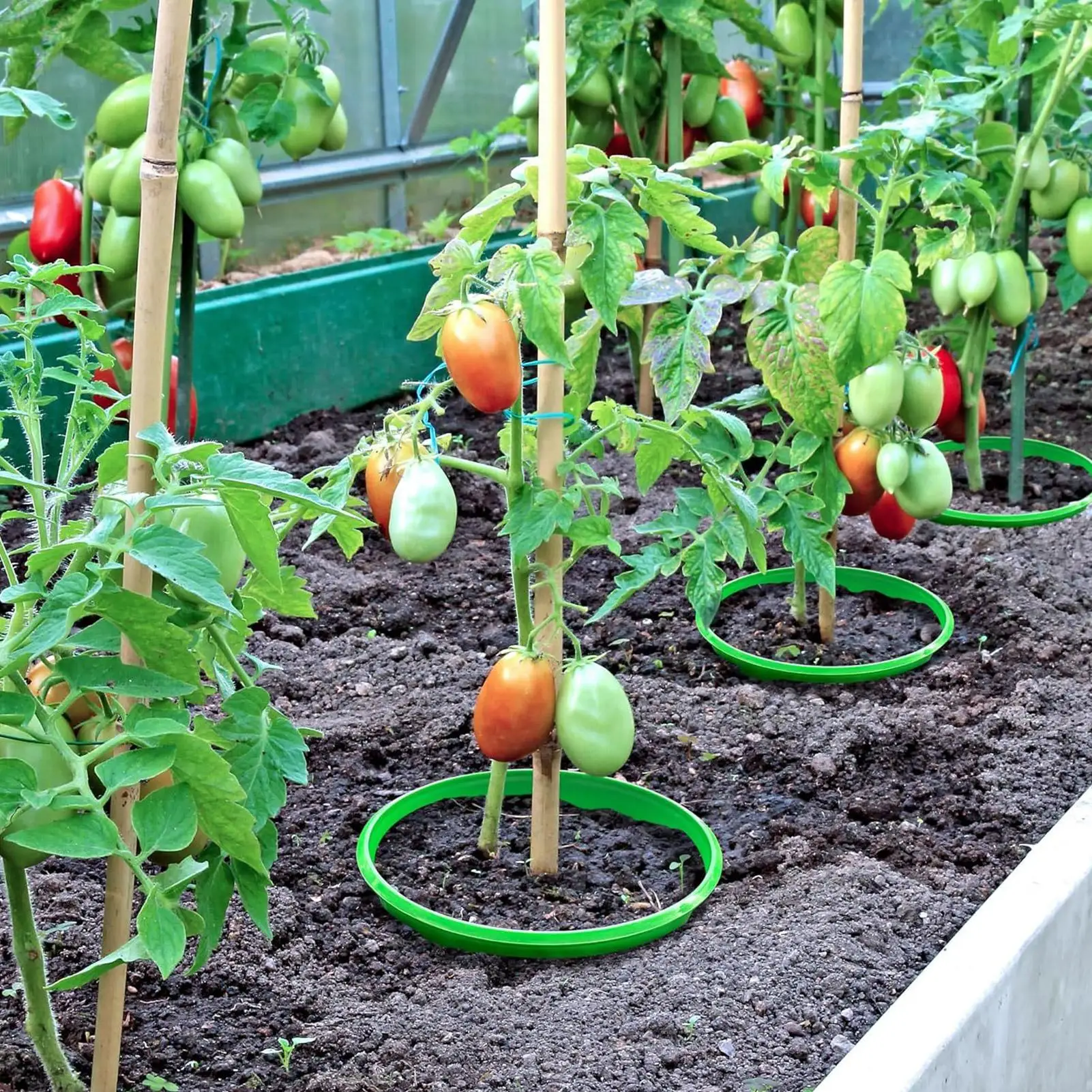 

Plants Snail Protection Rings Vegetable Green Planter Flower Pot Pest Control Trapper Repel Snails Garden Protects Animal Tool