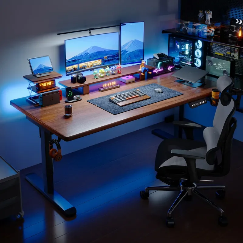 Electric Lifting Desk Gaming Table Smart Computer Desk for Home Internet Famous E Sports Room Game Table Workbench