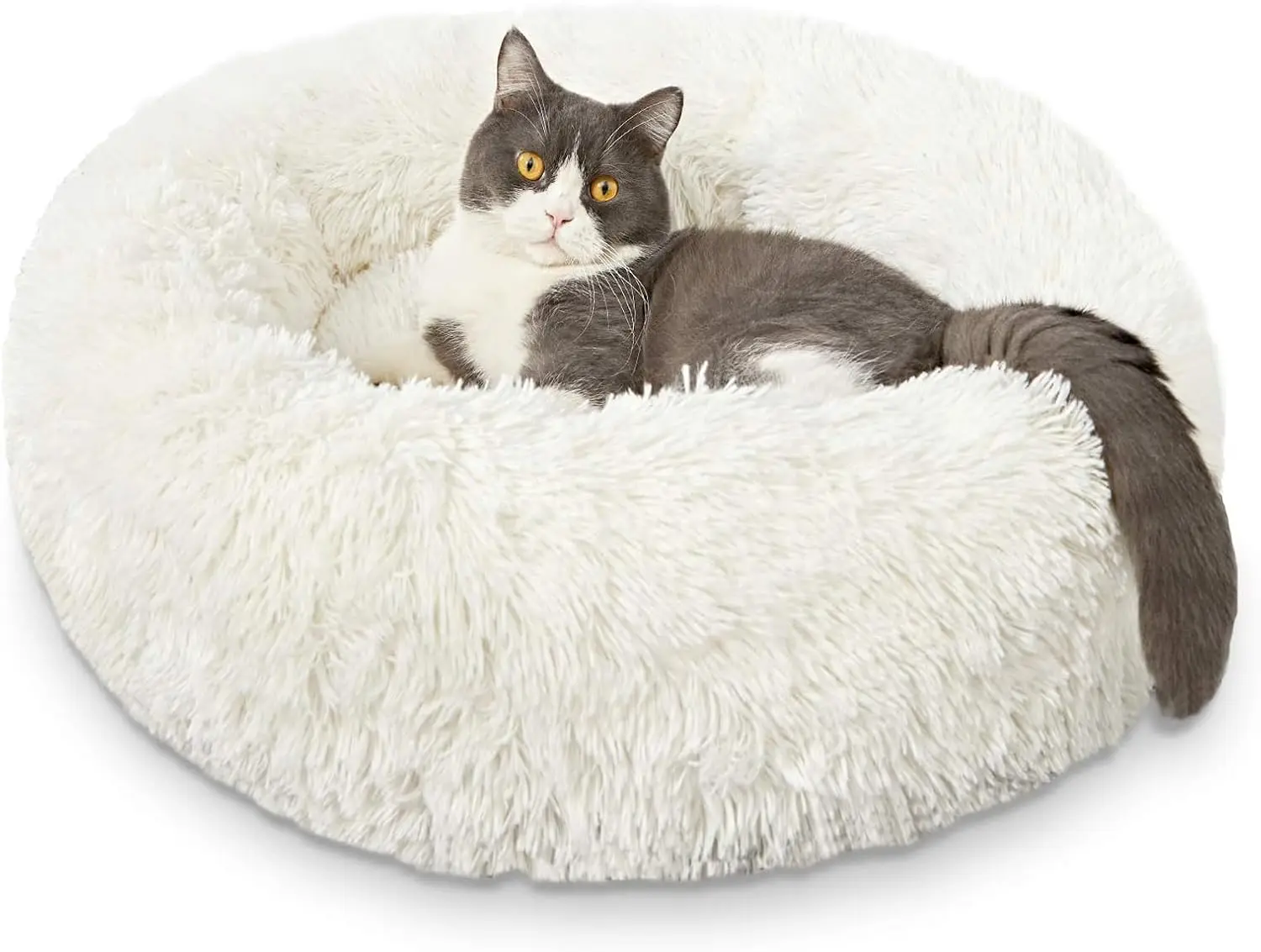 

Creamy Cat & Dog Beds - Washable, Anti-Anxiety, Round Plush, 20/24 Hes, Thi Bottom