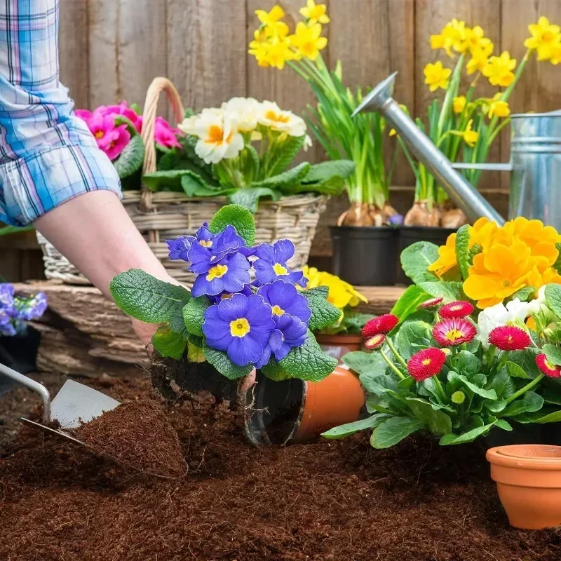 5pcs 5cm Premium Coconut Coir Bricks terreno da giardino 100% organico Eco fibra di guscio di cocco fibra di particelle in vaso pianta terreno