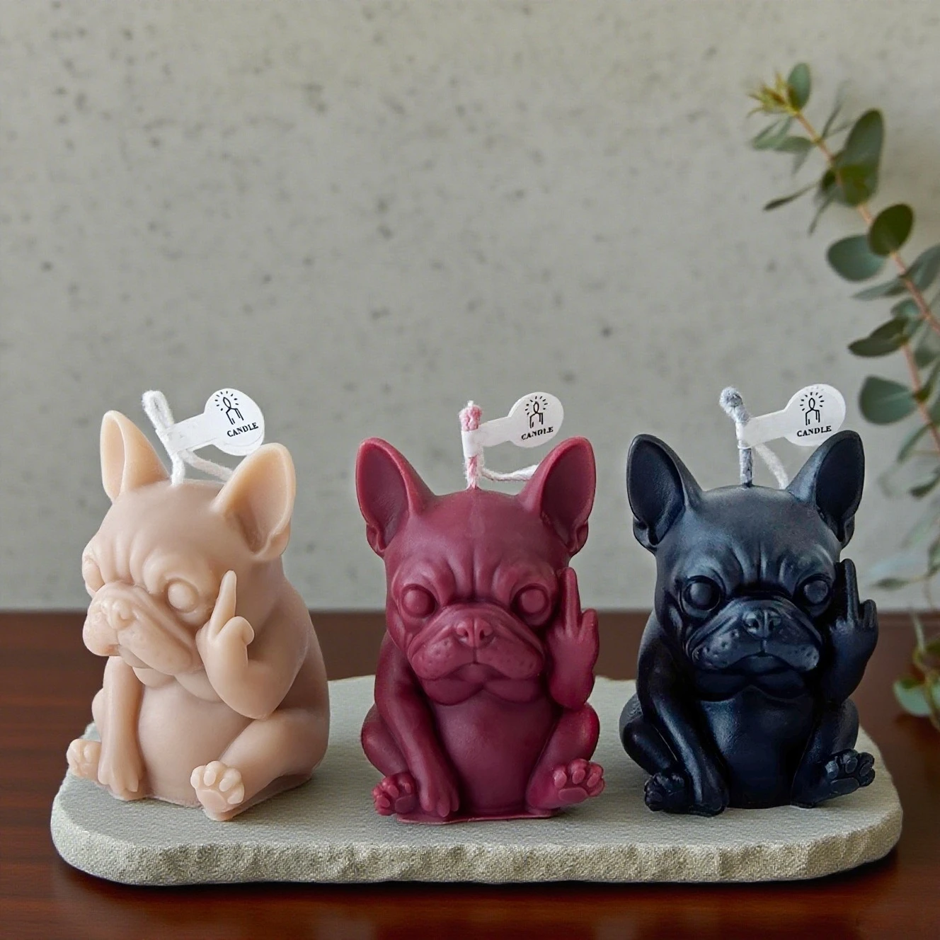 เทียนหอมรูปสัตว์เลี้ยงขนาดเล็ก - Beeswax Taper Candle บทวิจารณ์และราคา