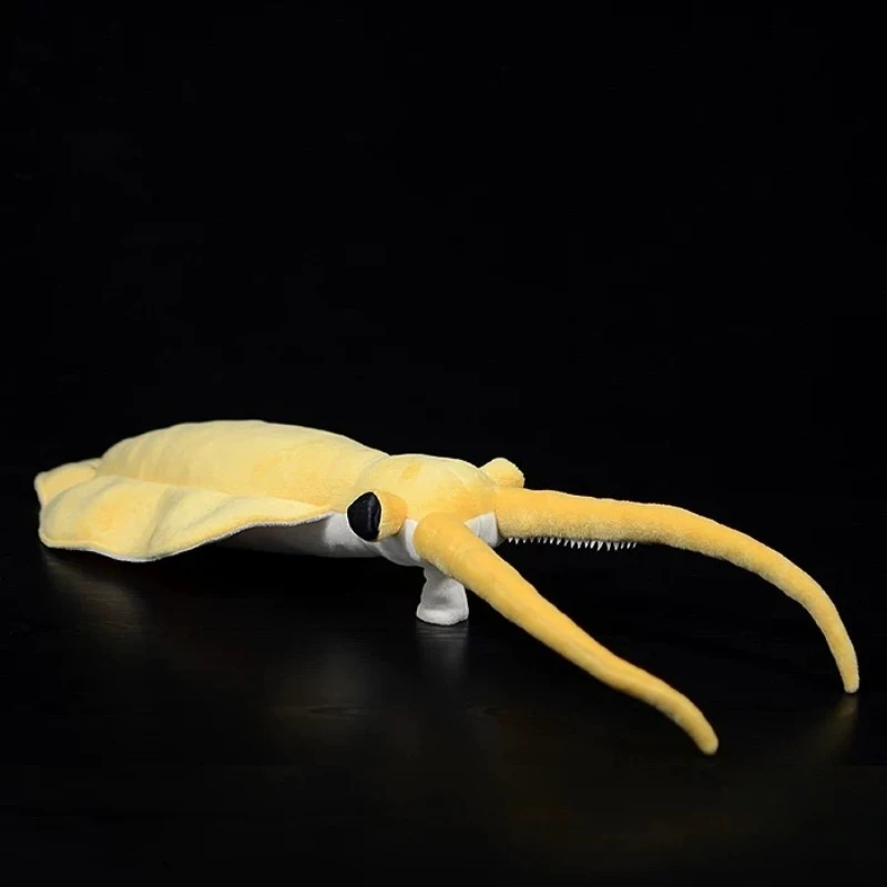 

Simulation Nectocaris Plush Toy Realistic Nectocaris Pteryx Plush Toy Ancient Cambrian Creature Stuffed Animal Doll for Kids