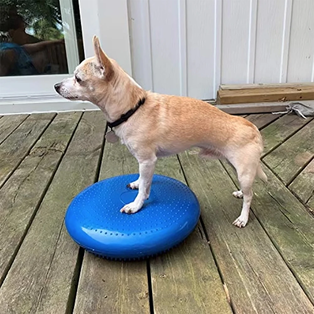 Dog Balance Disc Cushion Rehab Exercise Pad Strength Endurance Conditioning Fitness For Pet Rehabilitation Center Agility Train