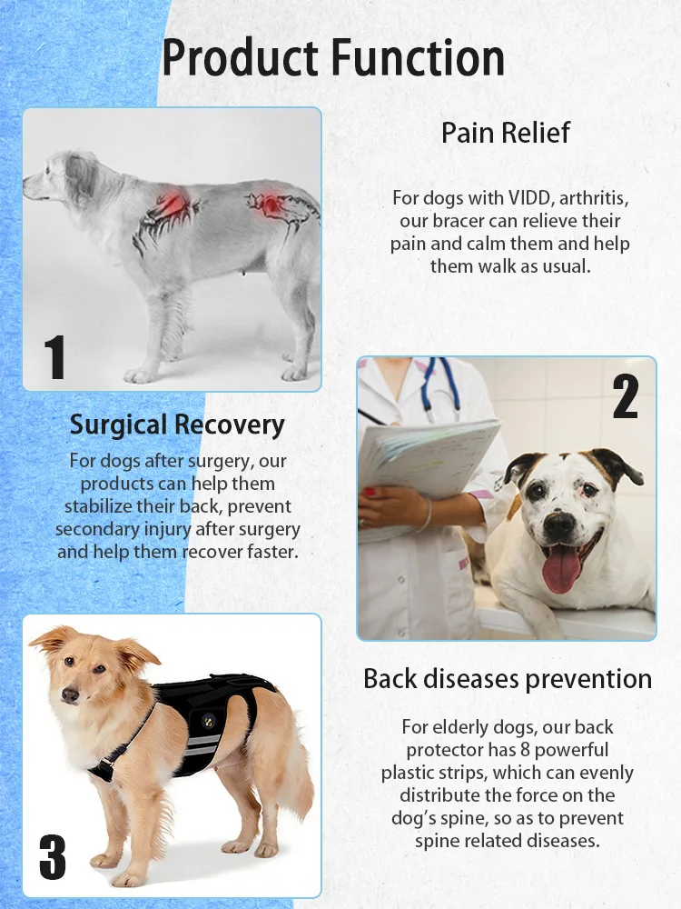 Coodeo Rückenstütze für Hunde mit Arthritis, Rückenbandage für Haustiere bei IVDD, Rückenprotektor zur Schmerzlinderung, Genesung nach Operationen und Rehabilitation. – Detail 3