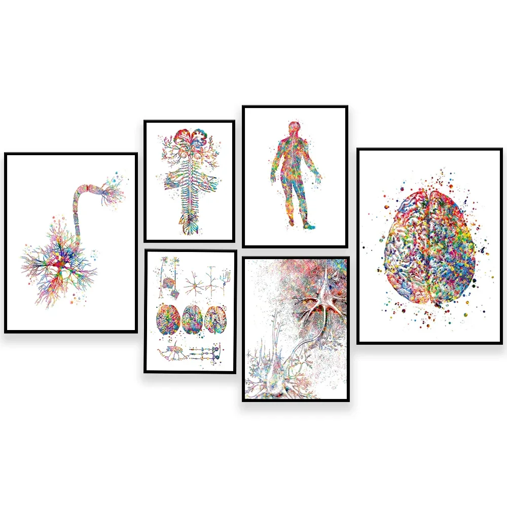 Neuroscience Art Neurology Art Anatomy Brain Nervous System Neuron Cell Synapse Poster Neurologist Office Art Clinic Wall Decor