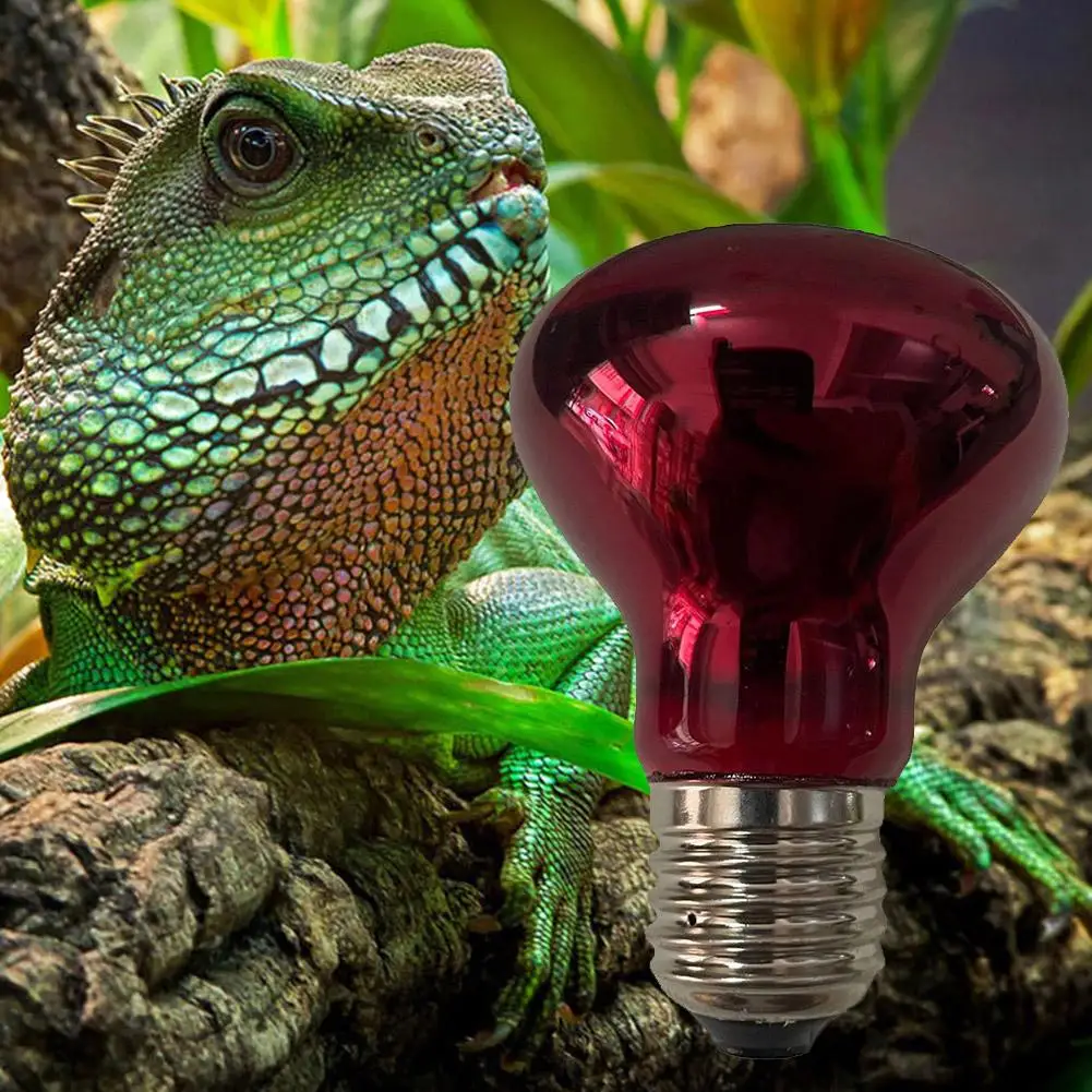 220-240V E27 Poultry Heating Bulb 20/40/50/100/75/60W Infrared Insulation Heating For Reptiles Plants Amphibians Pets Livestock