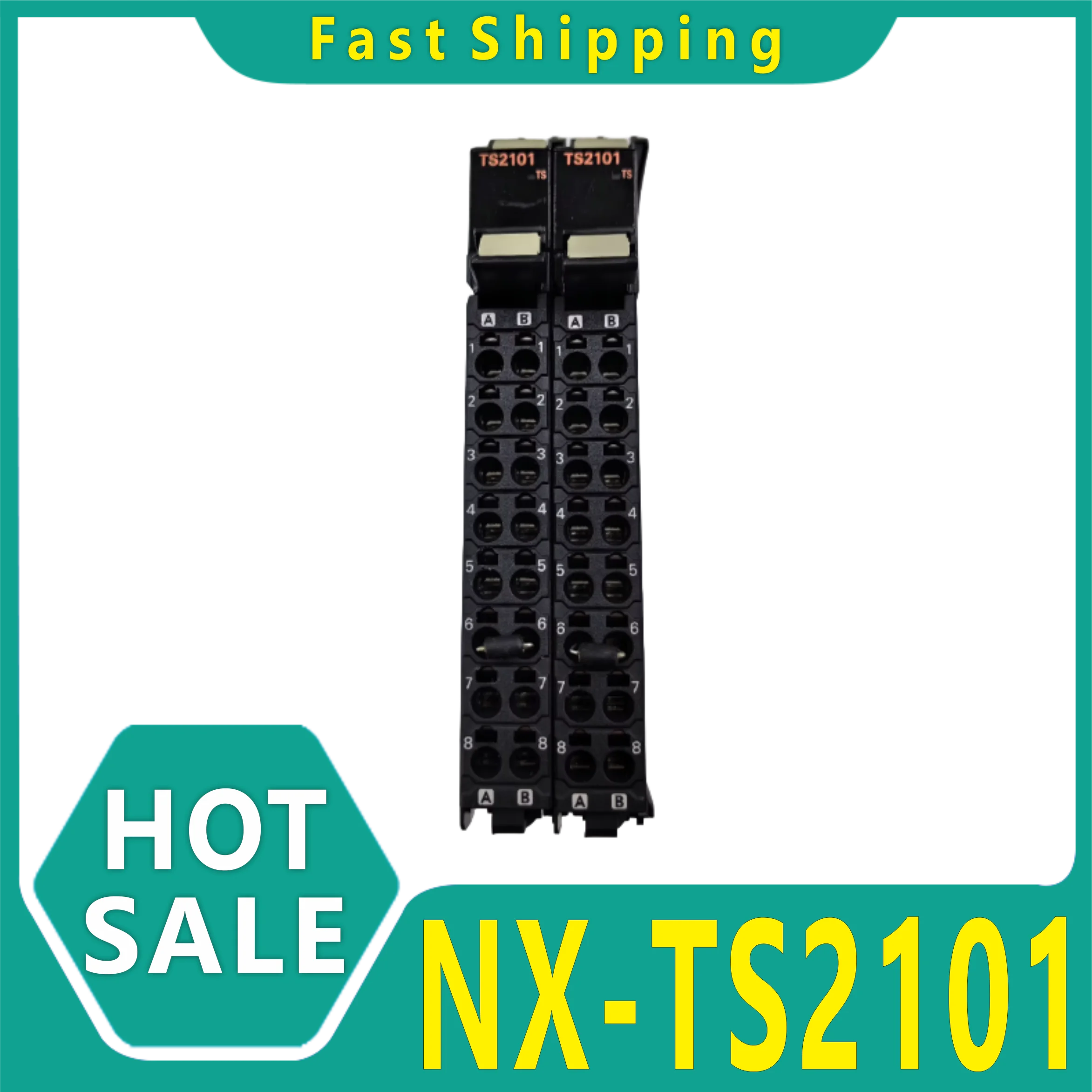 Temperature Input Unitnx-ts2101