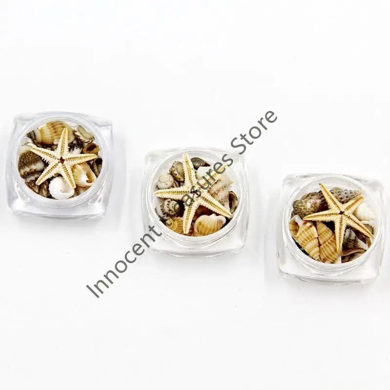3XUA المحيط شاطئ نجم البحر-الأصداف البحرية الملونة الطبيعية نجم البحر مثالية لديكور الزفاف الشاطئ موضوع حفلة لتقوم بها بنفسك ل #5