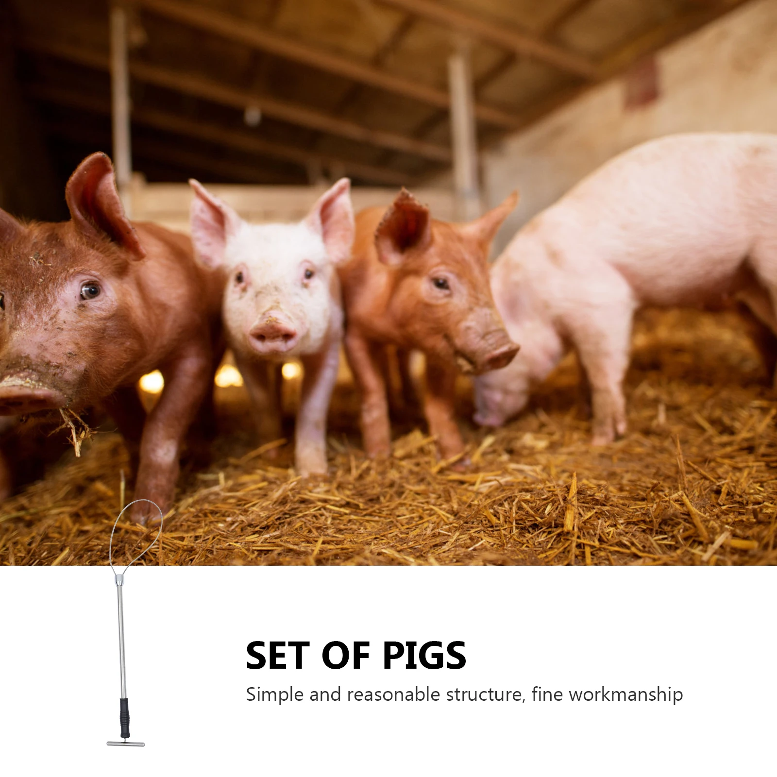 

Pig Holder Catcher Stainless Steel Snare Farm Accessories Multi Strand Cables Safe Not Hurting Pigs for Cattle