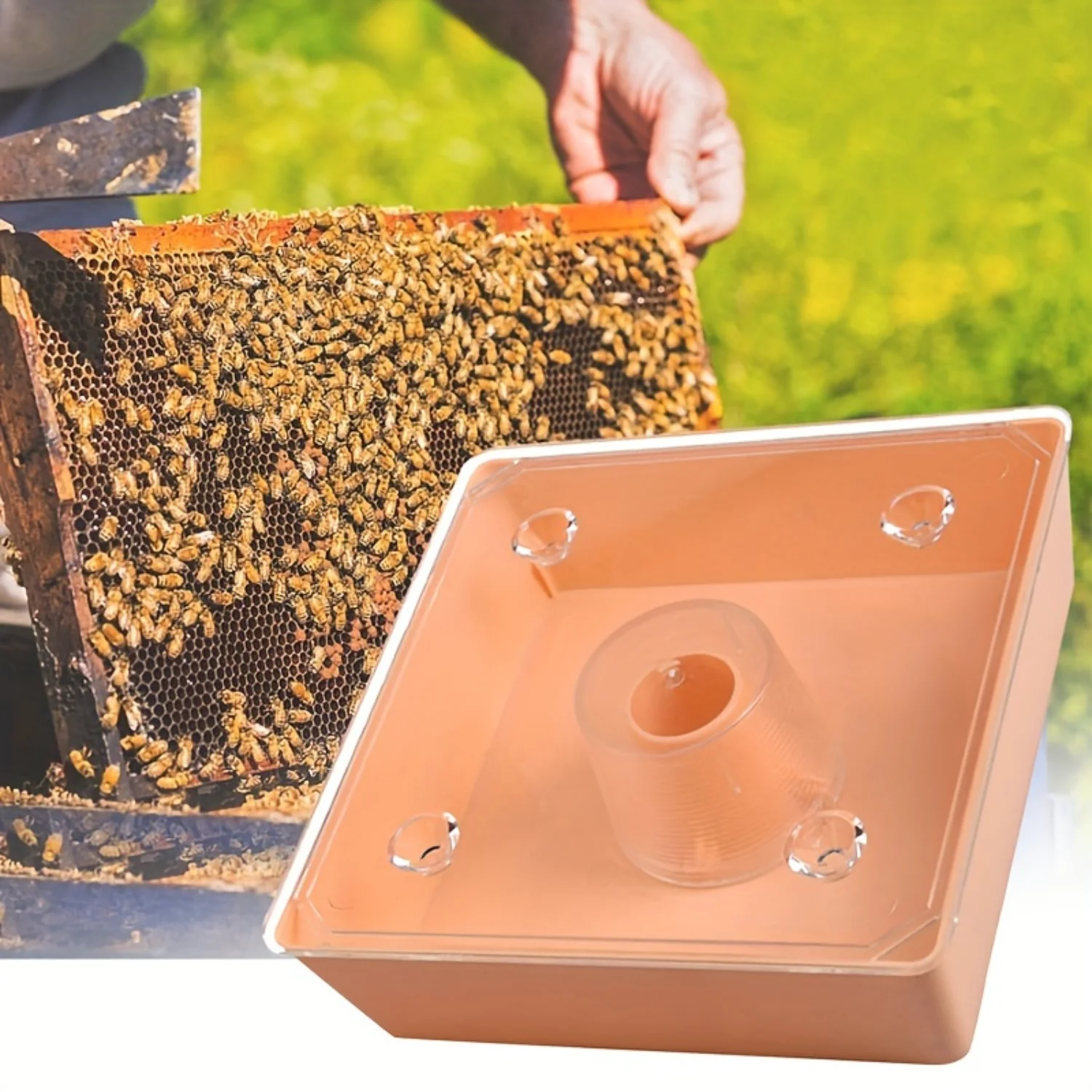 BF20 Model Plastic Square Bee Feeder Box - Top Feeding System Hive Accessory, Essential for Beekeeping