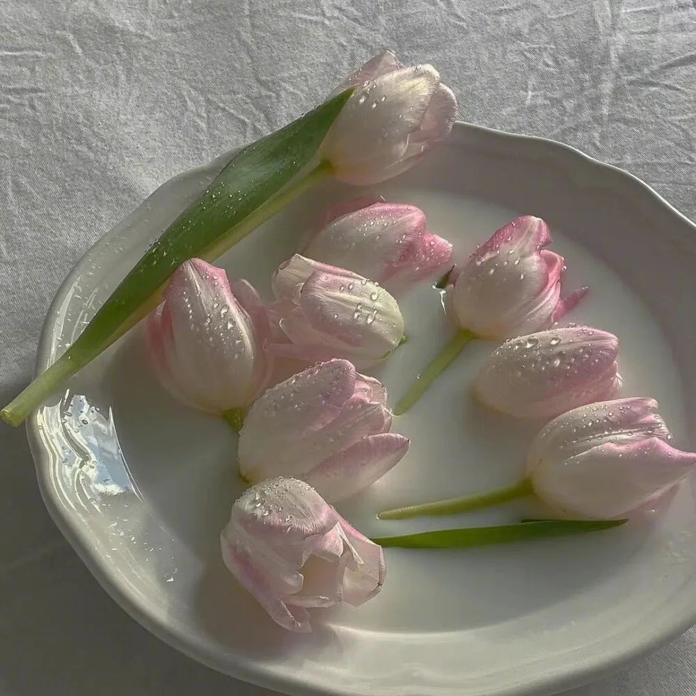 : Bluetooth-auto-verstärker