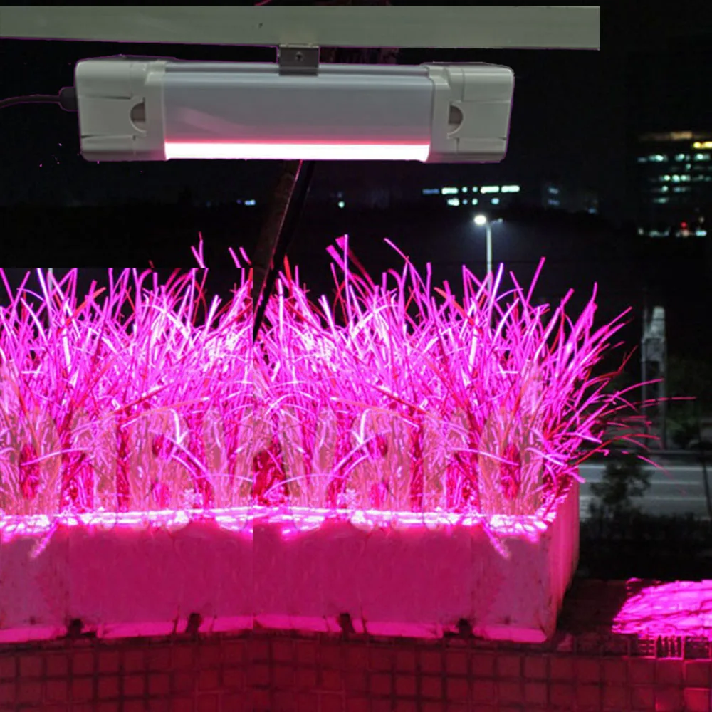 

Solar Growth Light Tube with Light Sensor: Ideal for Leaf Plant Cultivation