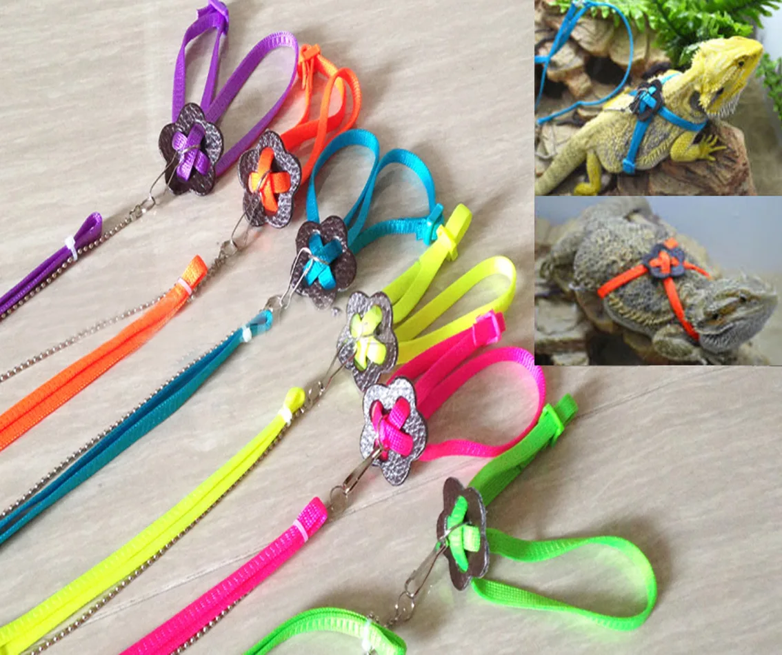 Reptile Lizard Dragon Harness Leash Adjustable Walking Hauling Cable Belt Traction Training Rope Pet Supplies Collar Chest Strap