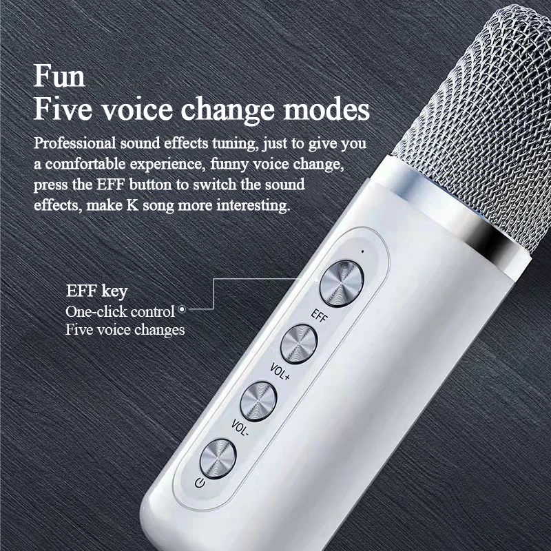 Wholesale YS-203 100W Bass Sound Family KTV 2-in-1 Portable Karaoke BT Wireless Speaker With dual handheld microphone Speaker