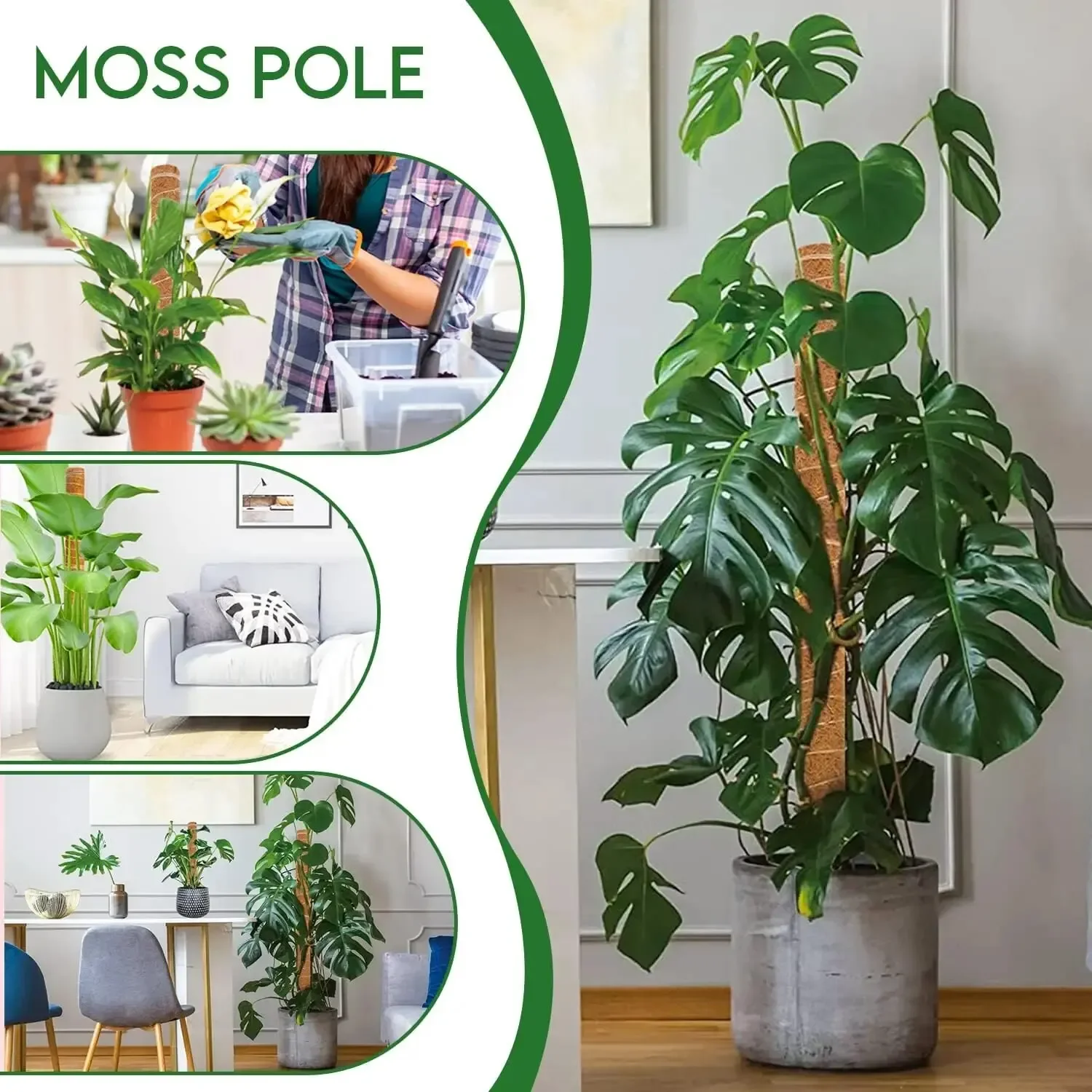 Poste de musgo extensible hecho a mano para plantas, varilla de escalada para plantas, palo de musgo hecho a mano Real F