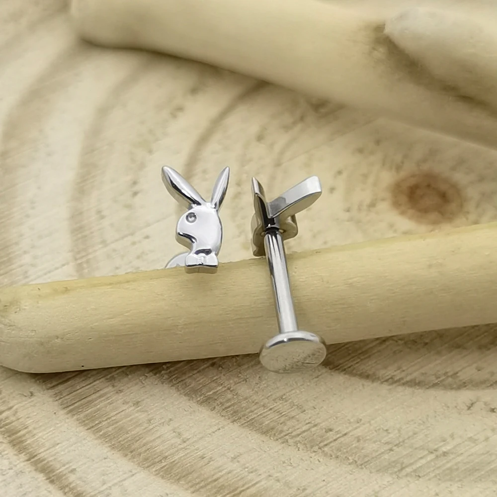 ثقب علوي على شكل أرنب من التيتانيوم ، قرط Labret ملولب داخلي ، مجوهرات جسم مسطح Tragus ، QM ASTM F136
