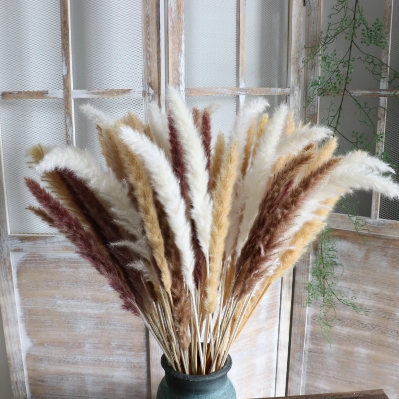 

30PCS/lot Small Pampas Grass Real Dried Natural Grass Reed Flower for Wedding Party Decoration DIY Bouquet Gift Boho Home Decor