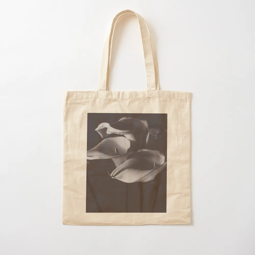 زنابق كال، صورة، فن ناعم، تصوير ثلاث زهور، حياة لا تزال، عاشق الطبيعة، حقيبة يد على طراز روبرت مابليثوربي