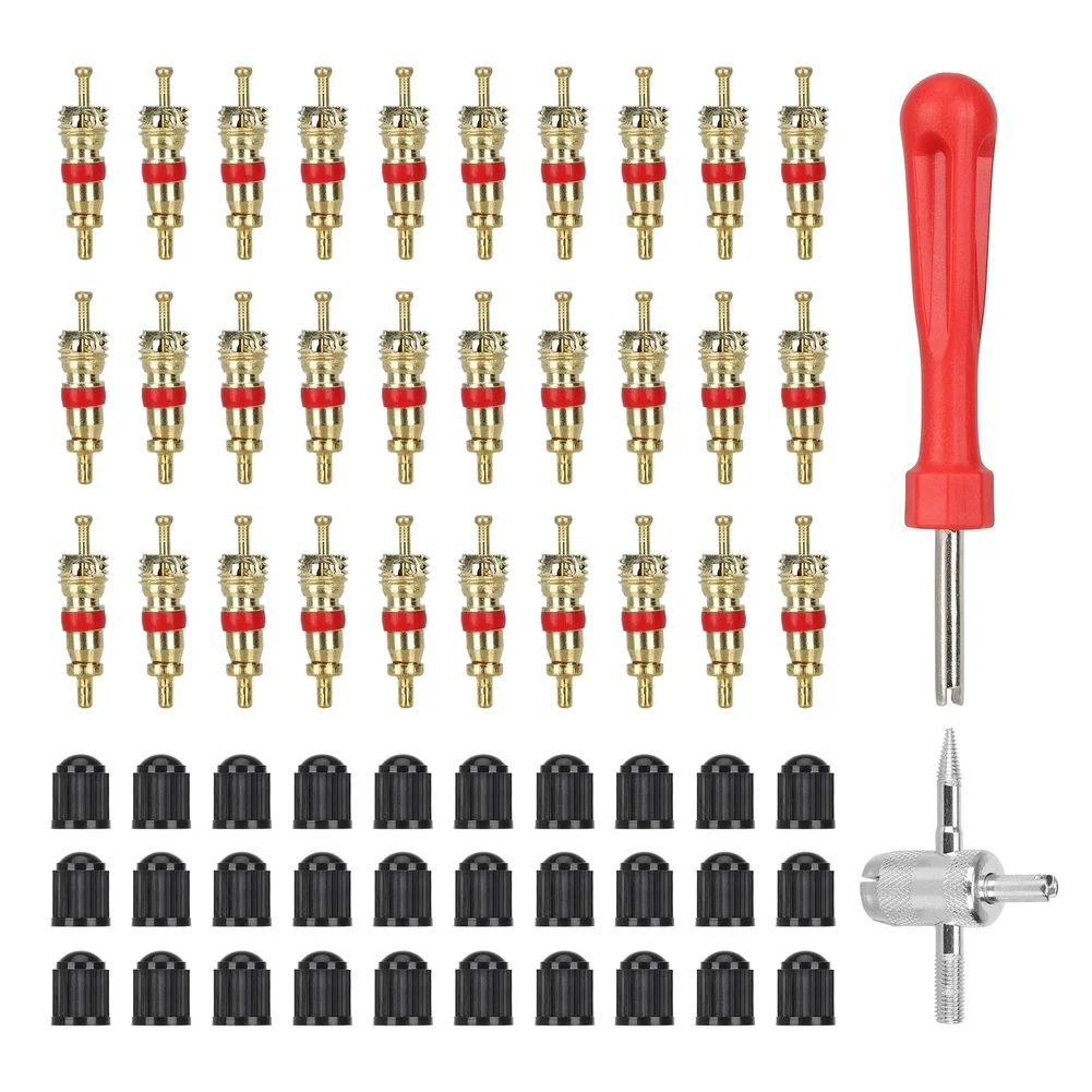

Набор для снятия сердечников клапанов, 62 предмета, с ключом, для обслуживания шин автомобилей и двухколесного транспорта, включая скутеры, мотоциклы и велосипеды
