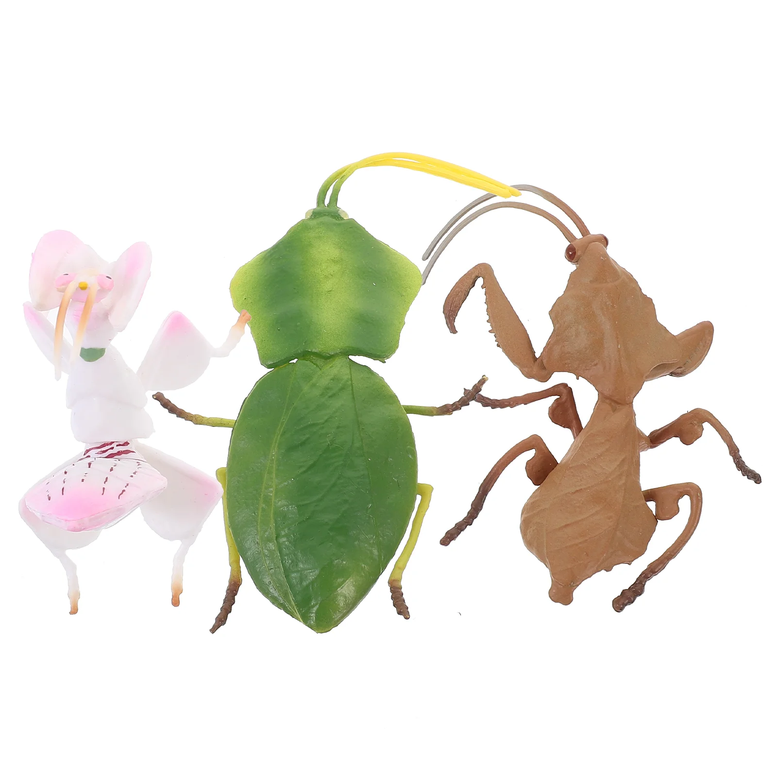 3-delig simulatie bidsprinkhaan model speelgoed kunstmatig kinderbeeldje meisje nep insect decor herkenning plastic