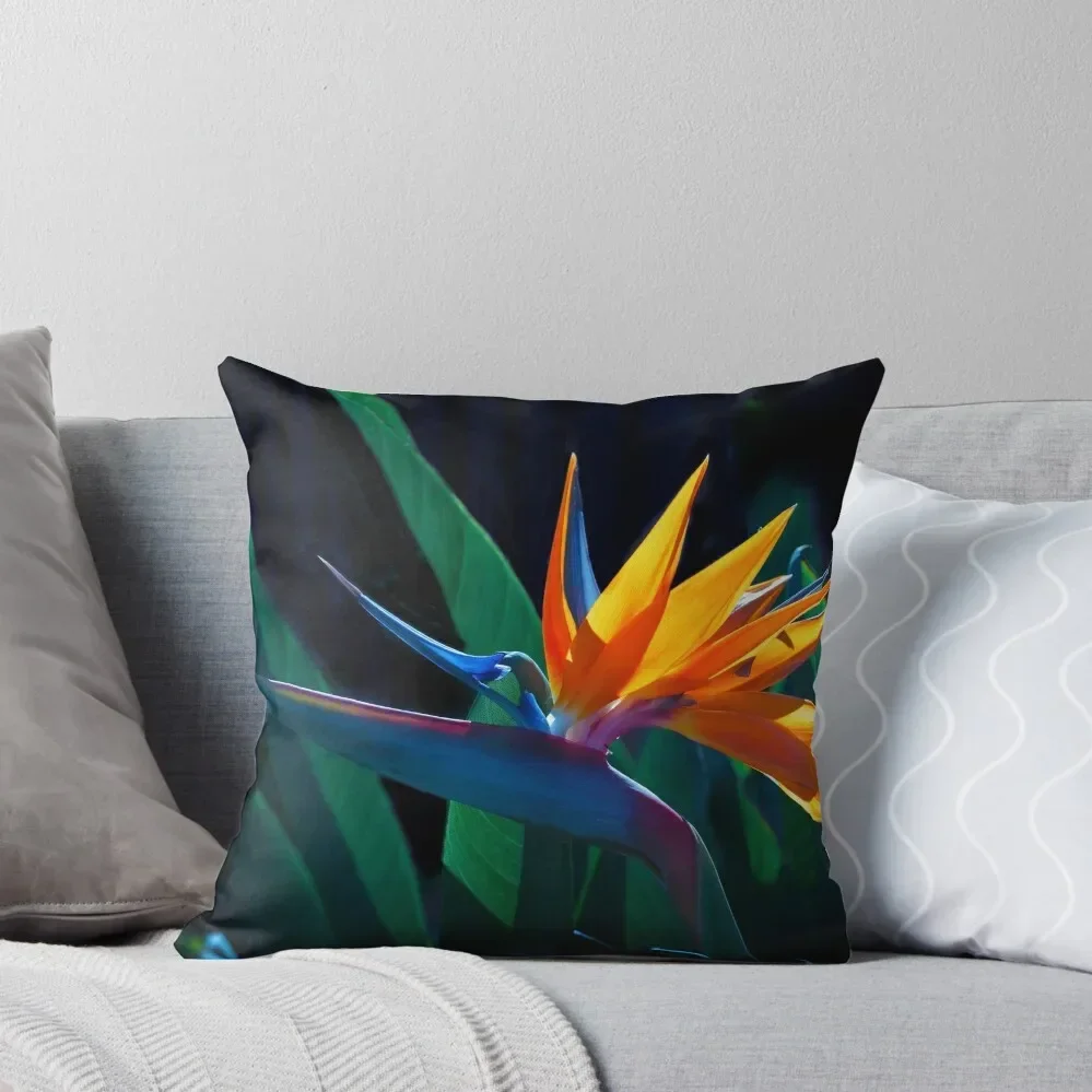 Bird of Paradise flower (Strelitzia nicolai) Throw Pillow Decorative Cushion Cover Decorative Sofa Cushions pillow