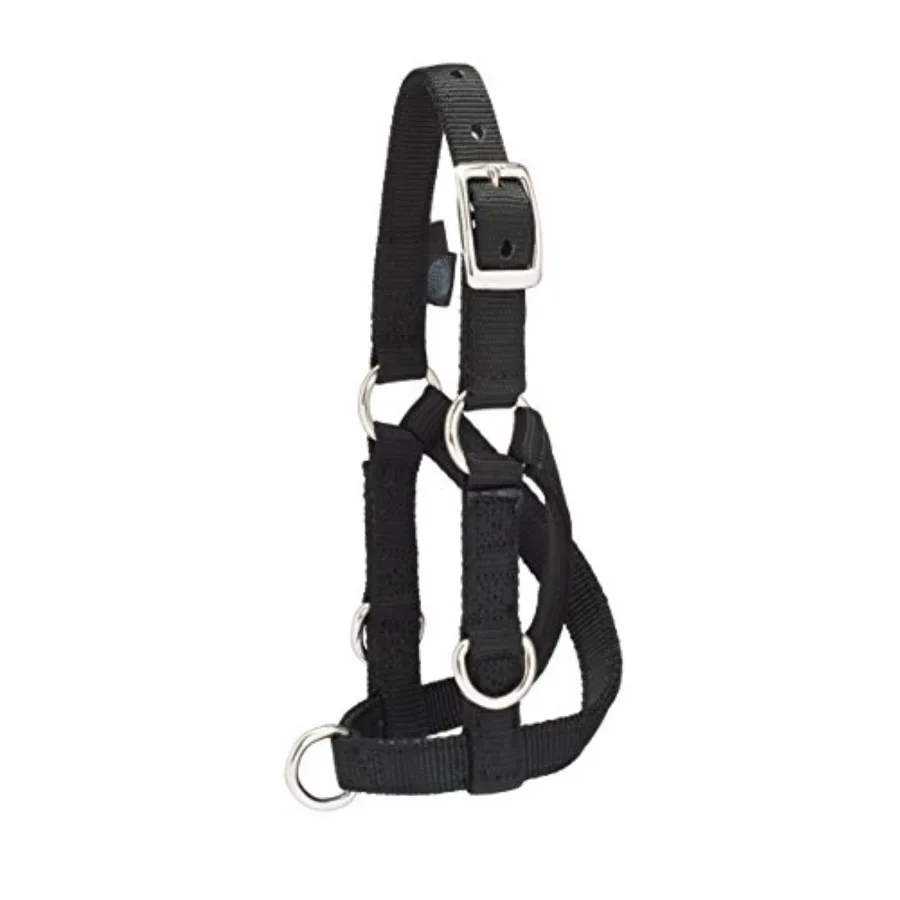 

Sheep and Goat Training Halter