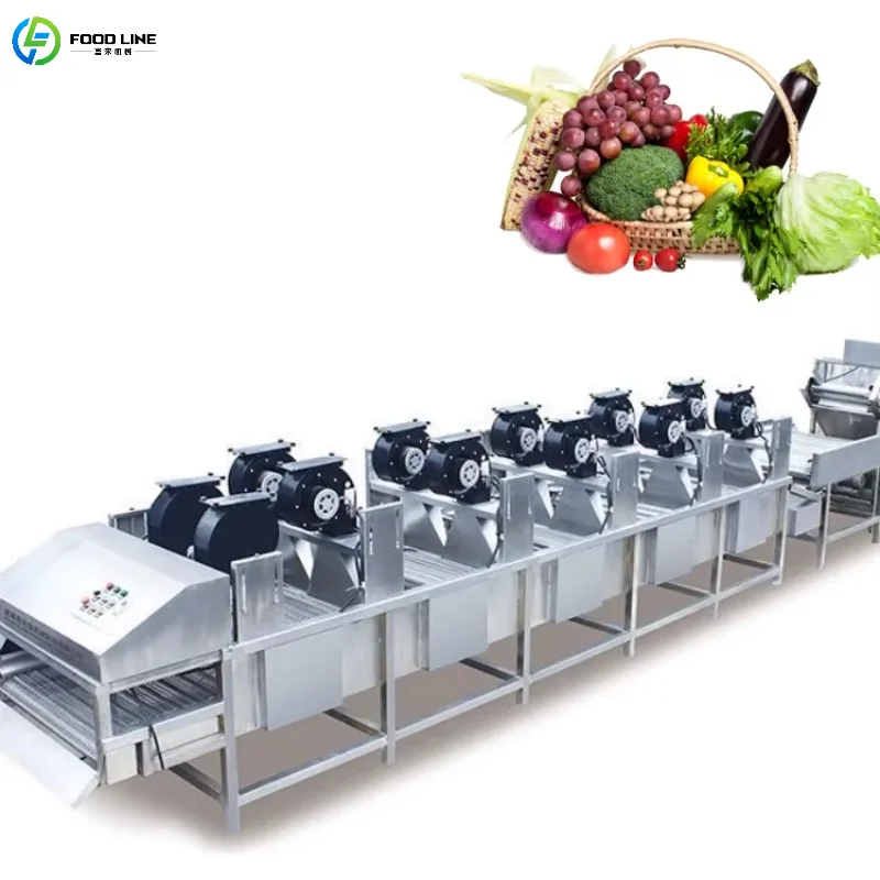 Customized Industrial Fruit and Vegetable Drying Conveyor Belt Air Blower Drying Commercial Processing Device