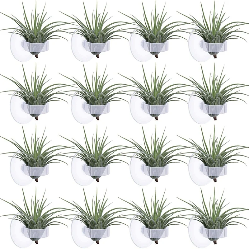 36 Pcs Air Plant Stand,Pot Tillandsia Air Plant Holder With Suction Cup,For Plants Hanging On Glass(Plants Not Included)