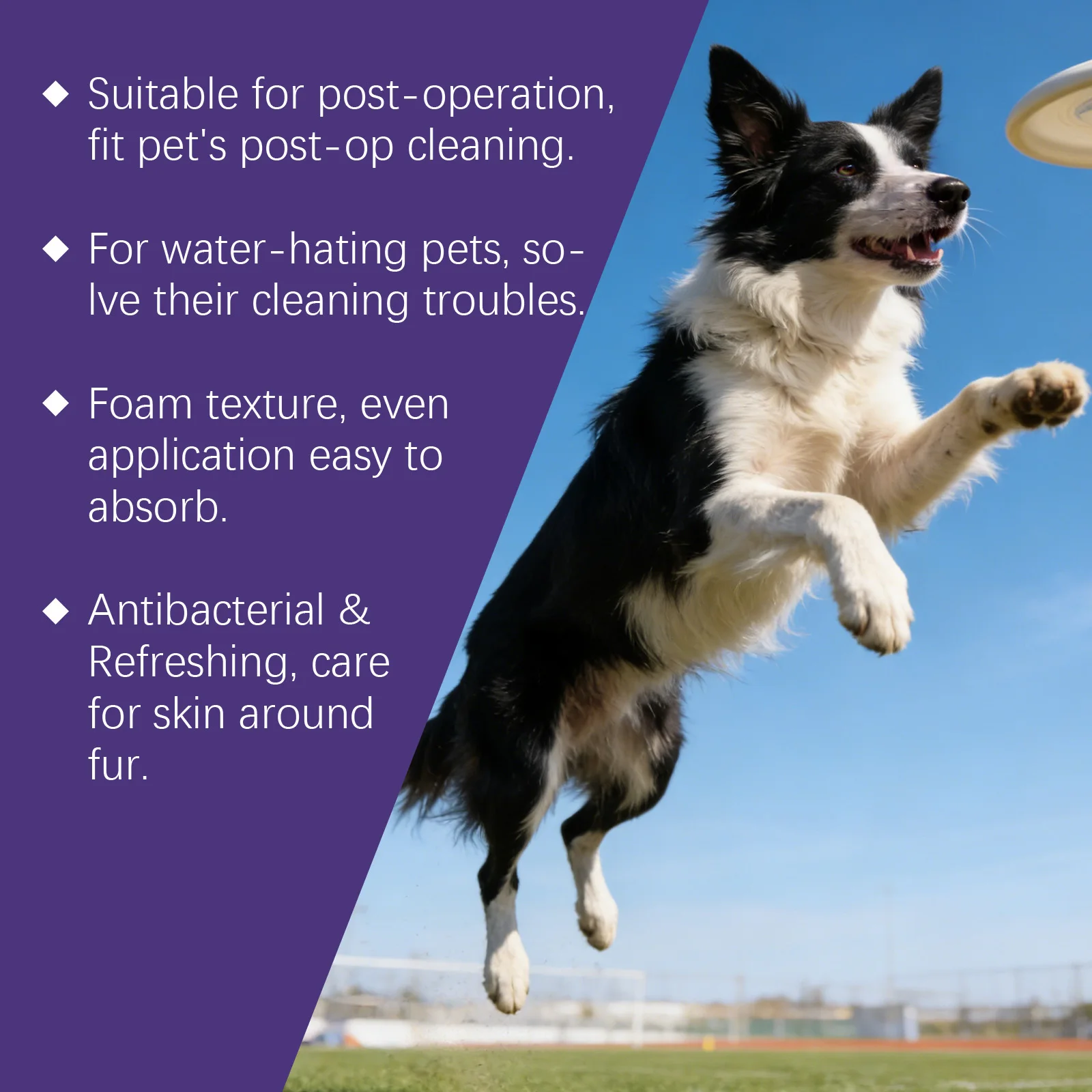 Pet Waterless Dry Cleaning Bubble Shampoo Kit Remove Stains Eliminate Odor Smooth Coat for Dogs Cats Portable Grooming Care Set
