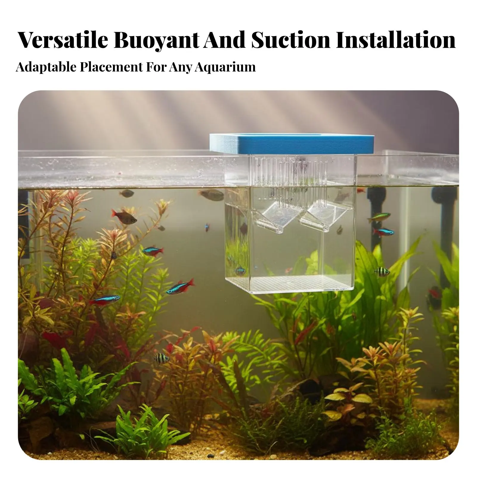 

Buoyant Aquatic Creature Breeding Box Removable Divider Aquatic Creature Breeding Box Aquatic Habitat Hatchery Hatchery Vented
