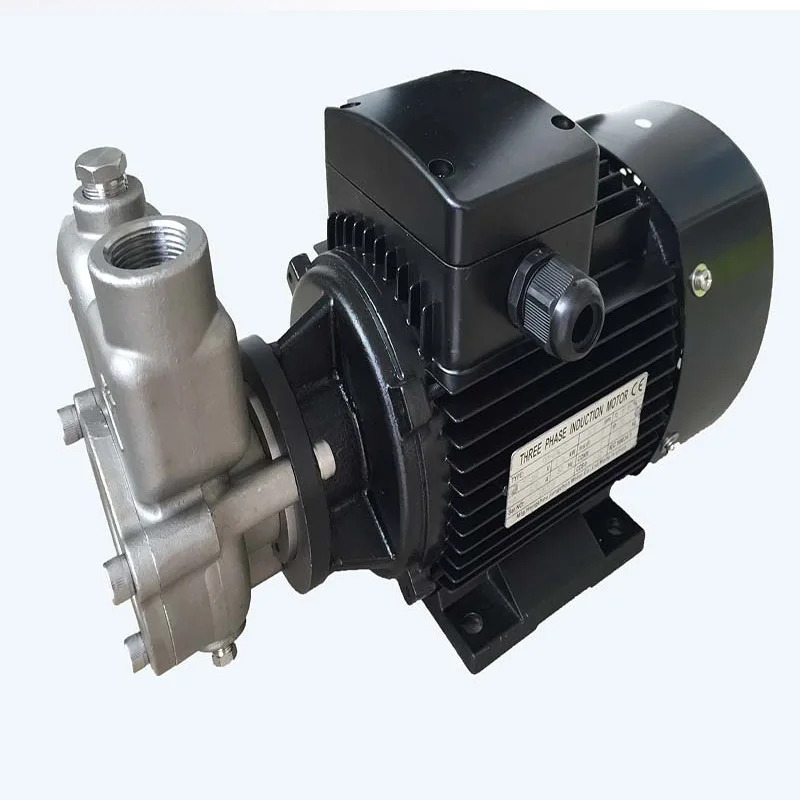 

Stability and corrosion resistance for water filtration systems 220V PLC core microbubble pump