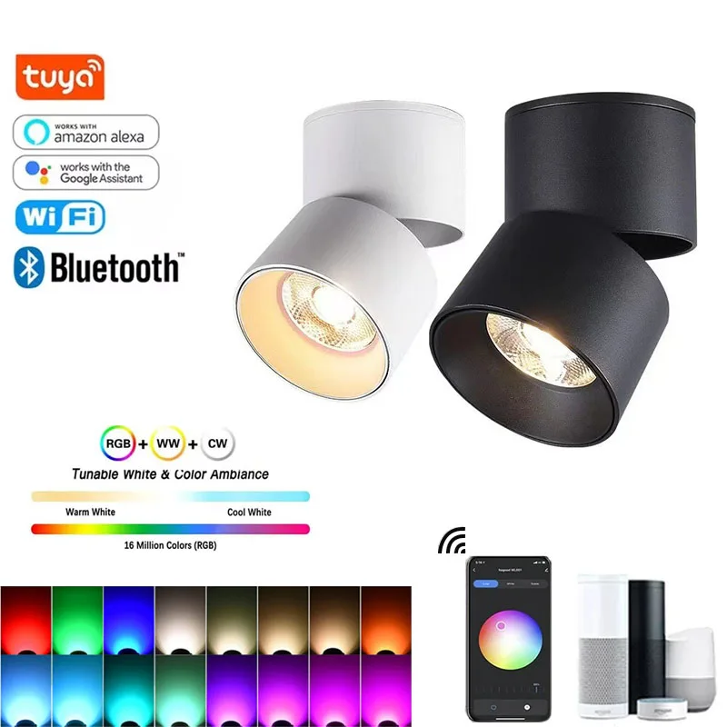 Tuya Smart Led Spot…