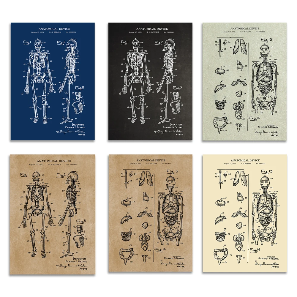 Anatomical Skeleton Patent Print, Body Organs Anatomy Skeleton Medical Student Gift, Blueprint Poster Decoration