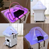 Mobile Water Circulation  Shampoo Wash Chair Massage Head Spa Adjustable Water Circulation Multifunctional Fumigable Shampoo Bed
