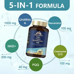 1000mg urea supplement containing NAD+, CoQ10, resveratrol, and 60 capsules for men and women as muscle energy antioxidants