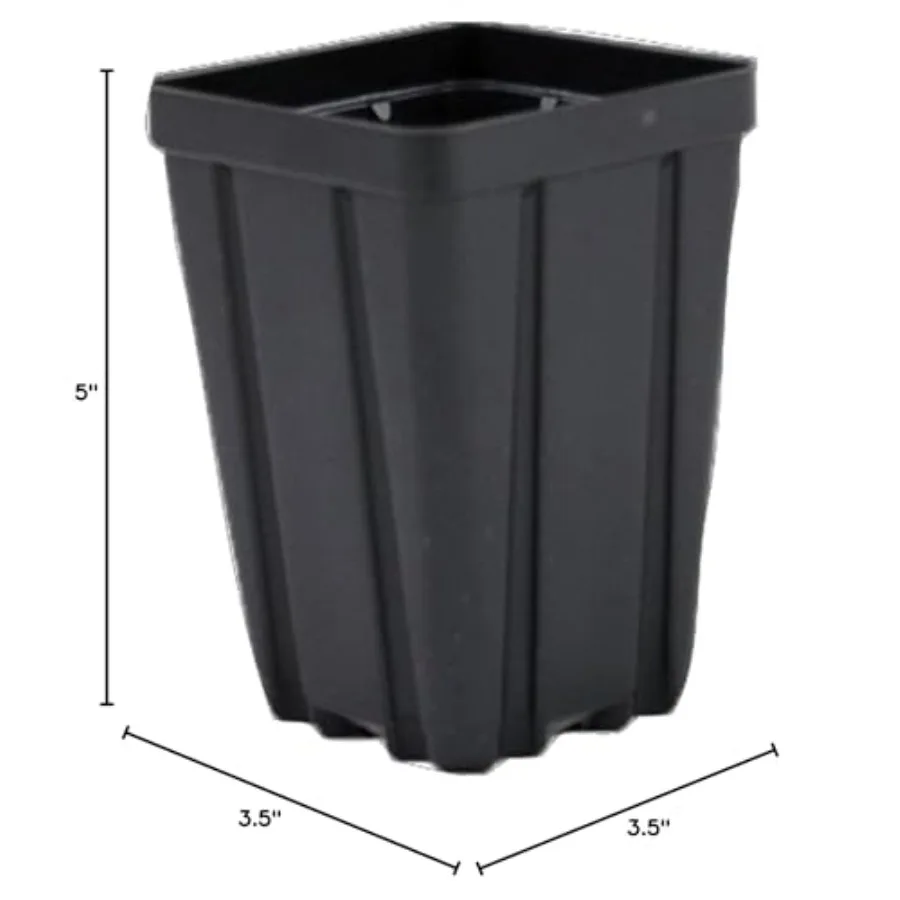 Square Greenhouse Pots 3.5 inch x 5 inch for propagation and seedling use - Black plastic deep design - Case of 450