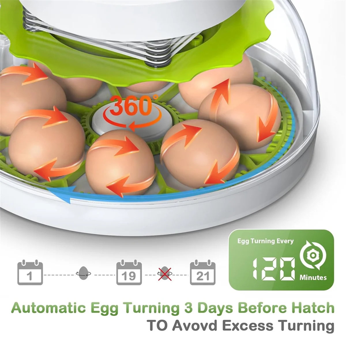 Egg Incubator with Automatic Egg Flipping Function, Temperature and Humidity Digital Control, Supporting 8 Eggs EU Plug