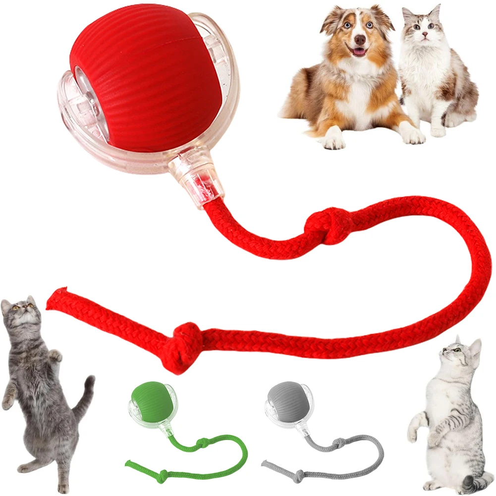 2026New Interactive Cat Toys Ball Automatic Bouncing Ball Type-C Charging Motion Activate Cat Toy 3 Modes with Rope Pet Supplies