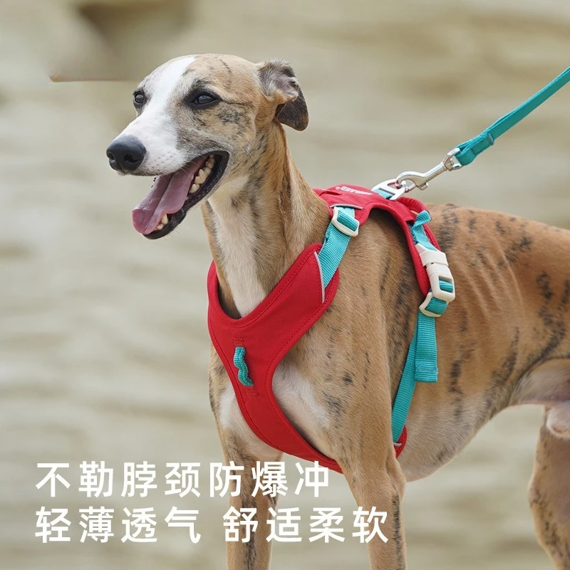 Dog chest and back traction rope Small medium and large dog walking dog I-shaped special pet chain that does not restrain the