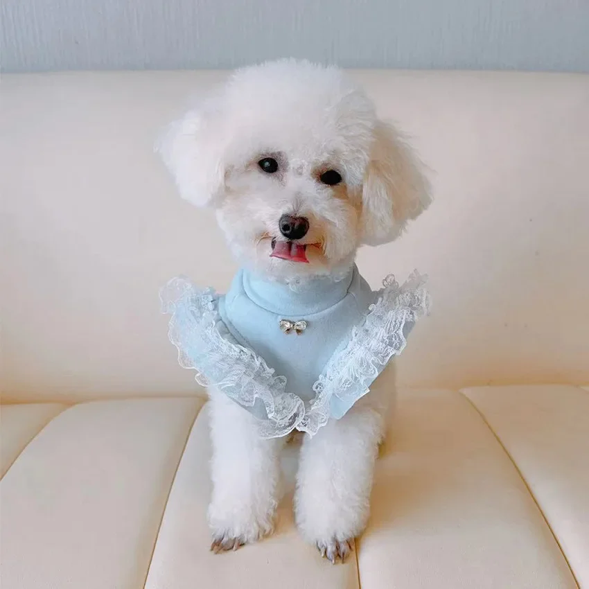 Pet Clothing Autumn and Winter Base Shirt Lace Flying Sleeves Ladies Base Vest Small Teddy Bear Dog Clothes for Small Dogs