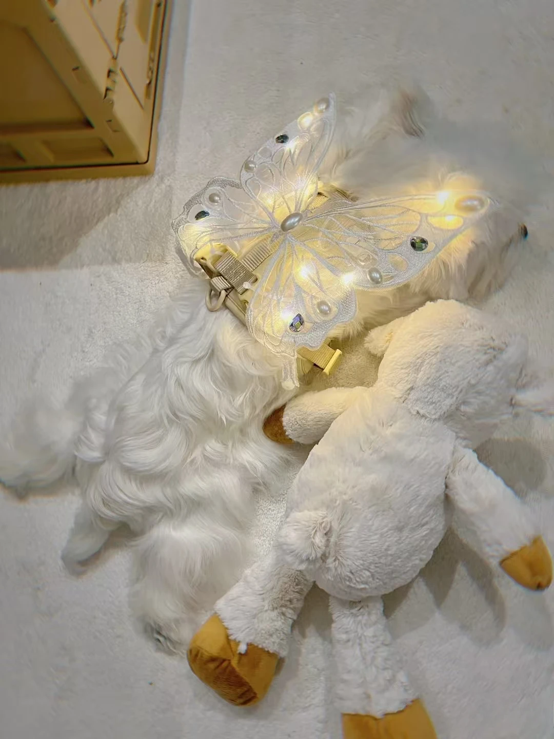 Dog wings glowing butterfly back decoration puppy summer clothes chest back decoration small dog Pomeranian Teddy Bigbear