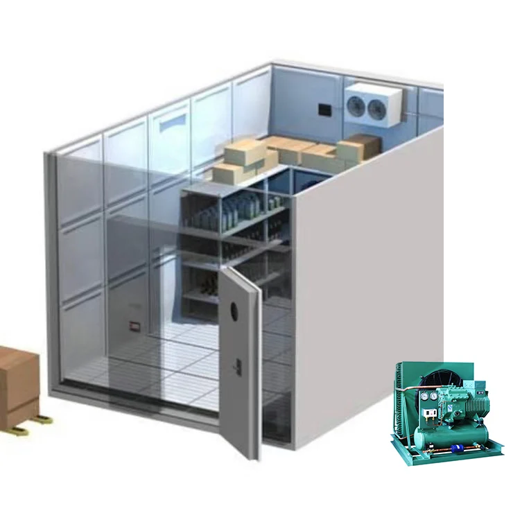 Industrial Blast Freezer Quick Freezing Cold Room Flash Freezing Equipment for Food Processing Custom
