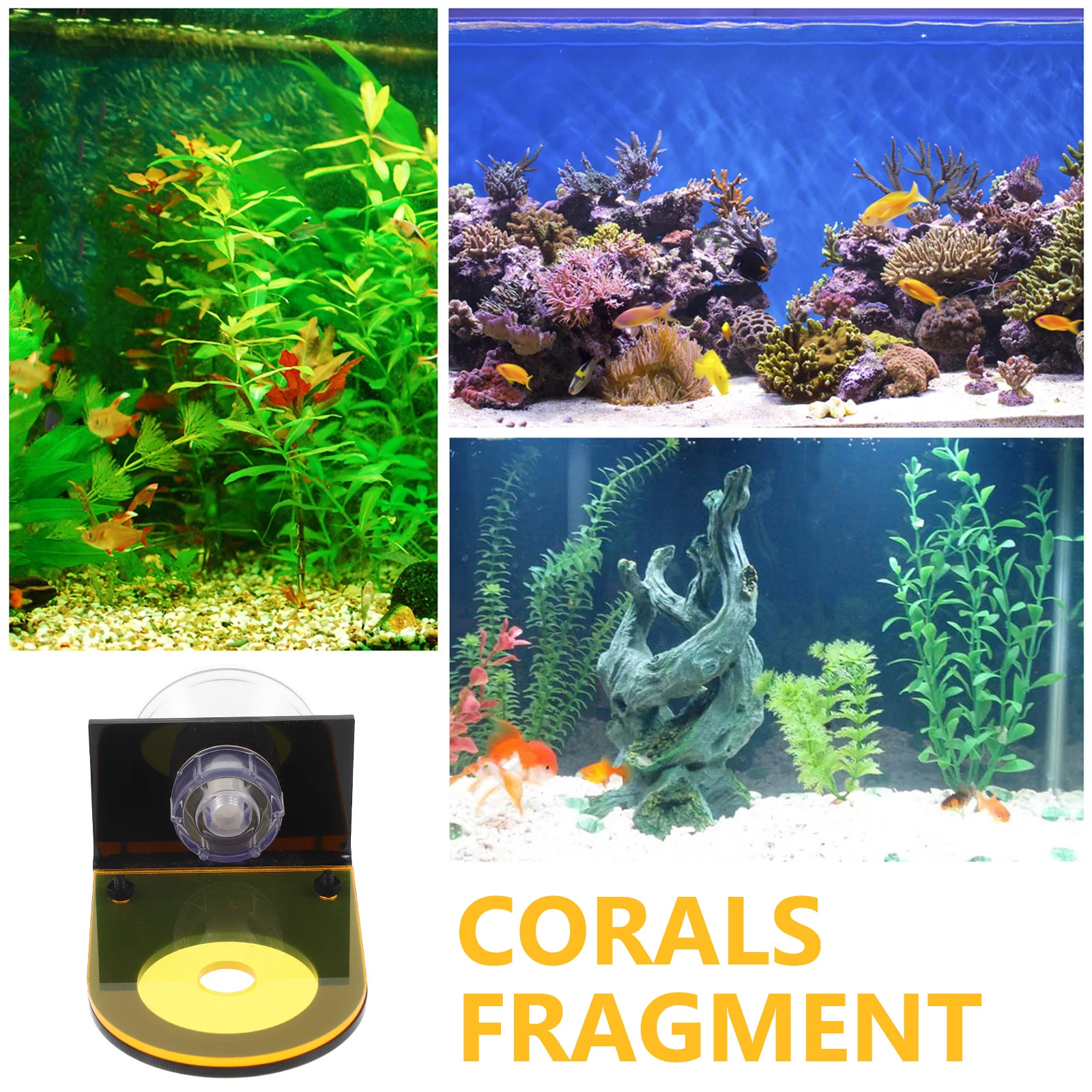 

2pcs Coral Frags Rack Acrylic Aquarium Holder Fluorescent Tray For Coral Growth Durable Fish Tank Stand Frag Mounting Base