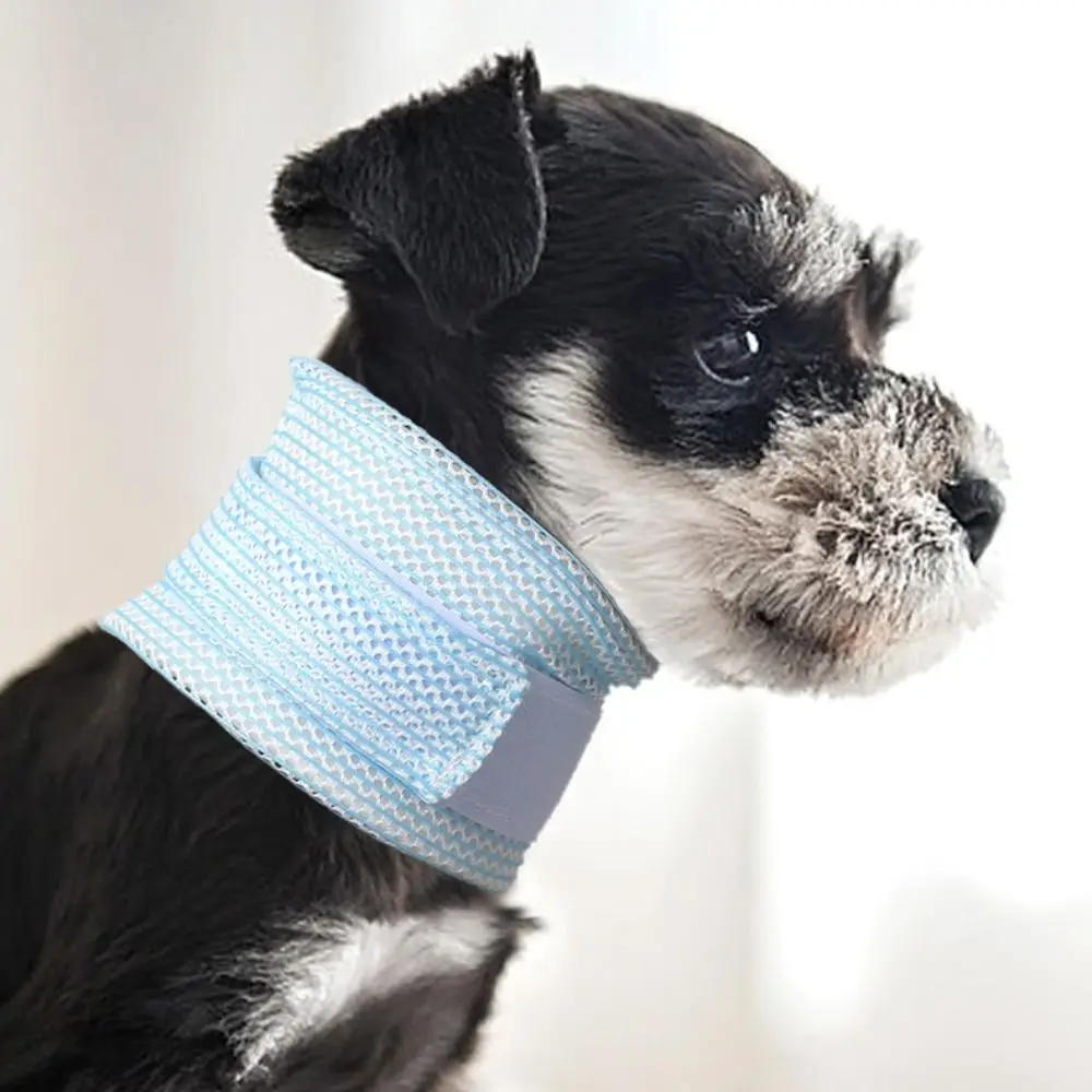 

Mesh Cat Recovery Collar Soft Adjustable Pet Anti-lick Collar Breathable Comfortable Cat Elizabethan Collar Grooming