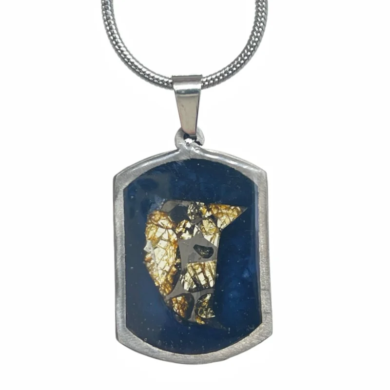 Collector‑Grade Shield‑Shape Sericho Pallasite Meteorite Pendant Olivine Crystal Inlay Resin Cosmic Collectible Necklace TB362