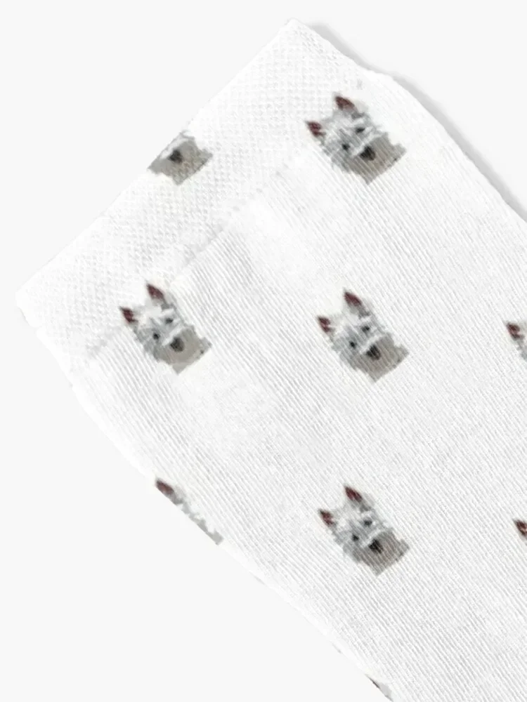 West Highland Terrier Socks tennis snow Mens Socks Women's