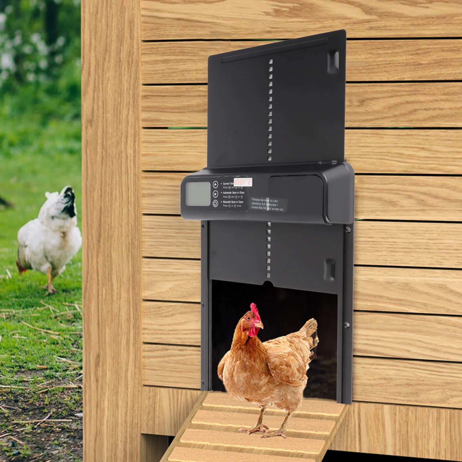 Automatic Chicken Coop Door Anti Clamping Function Nondeformable Strong and  Auto Chicken Coop Door Opener for Farm